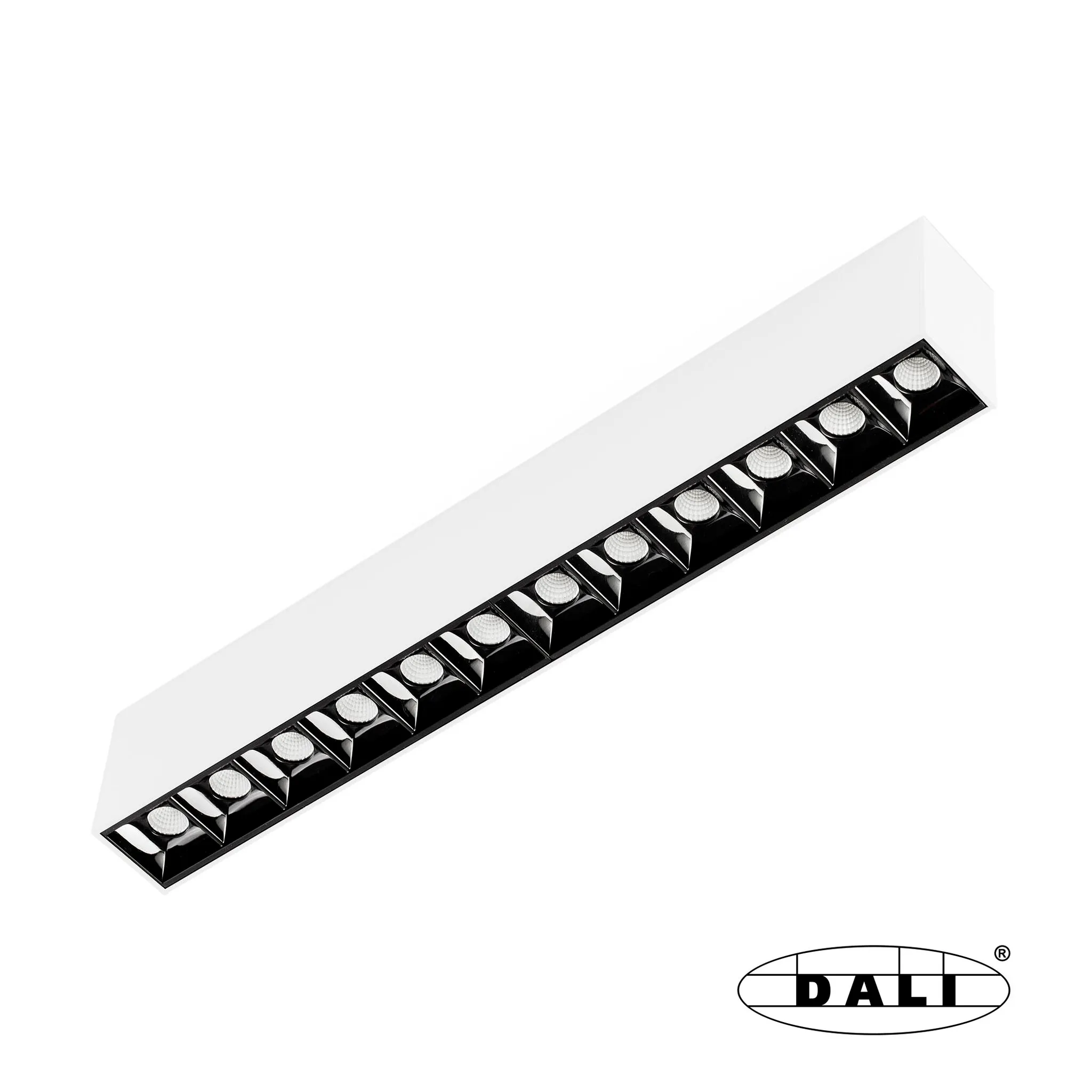 NESO POINT12 2700K 12° white dali